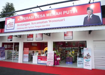 Memahami Alur Raksasa Kopdes Merah Putih: Mengapa Kita Harus Bersabar untuk Hasil yang Berkelanjutan?