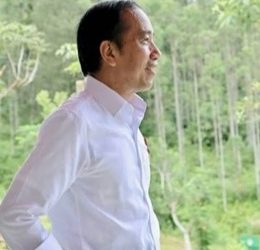 Tren Foto Profil Ala Jokowi Viral di Kalangan Anak Muda, Projo Gen Z: Cerminan Kedekatan Gen Z dengan Sosok Presiden ke-7