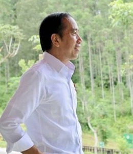 Tren Foto Profil Ala Jokowi Viral di Kalangan Anak Muda, Projo Gen Z: Cerminan Kedekatan Gen Z dengan Sosok Presiden ke-7