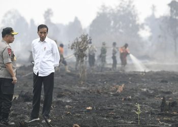 Mengenang Ketegasan Presiden Ke-7 Jokowi Tinjau Karhutla Riau 2019: Bukti Nyata Kepemimpinan Lapangan