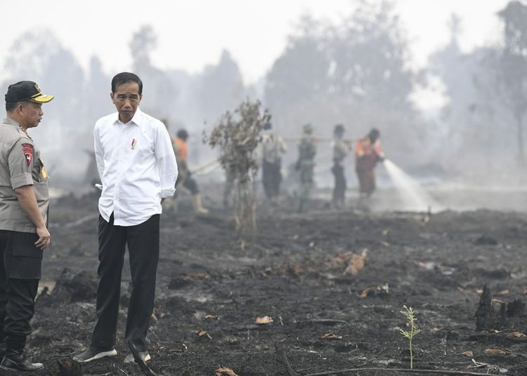 Mengenang Ketegasan Presiden Ke-7 Jokowi Tinjau Karhutla Riau 2019: Bukti Nyata Kepemimpinan Lapangan